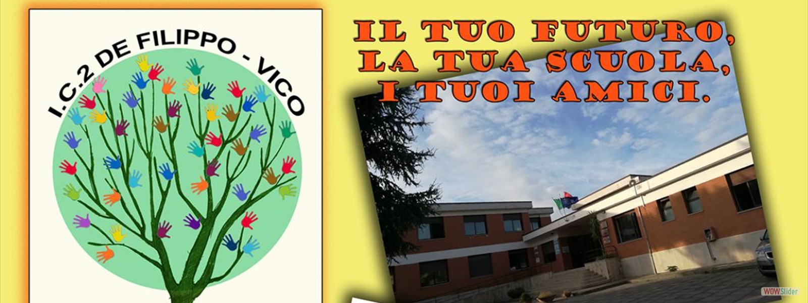 11 (A scelta)
